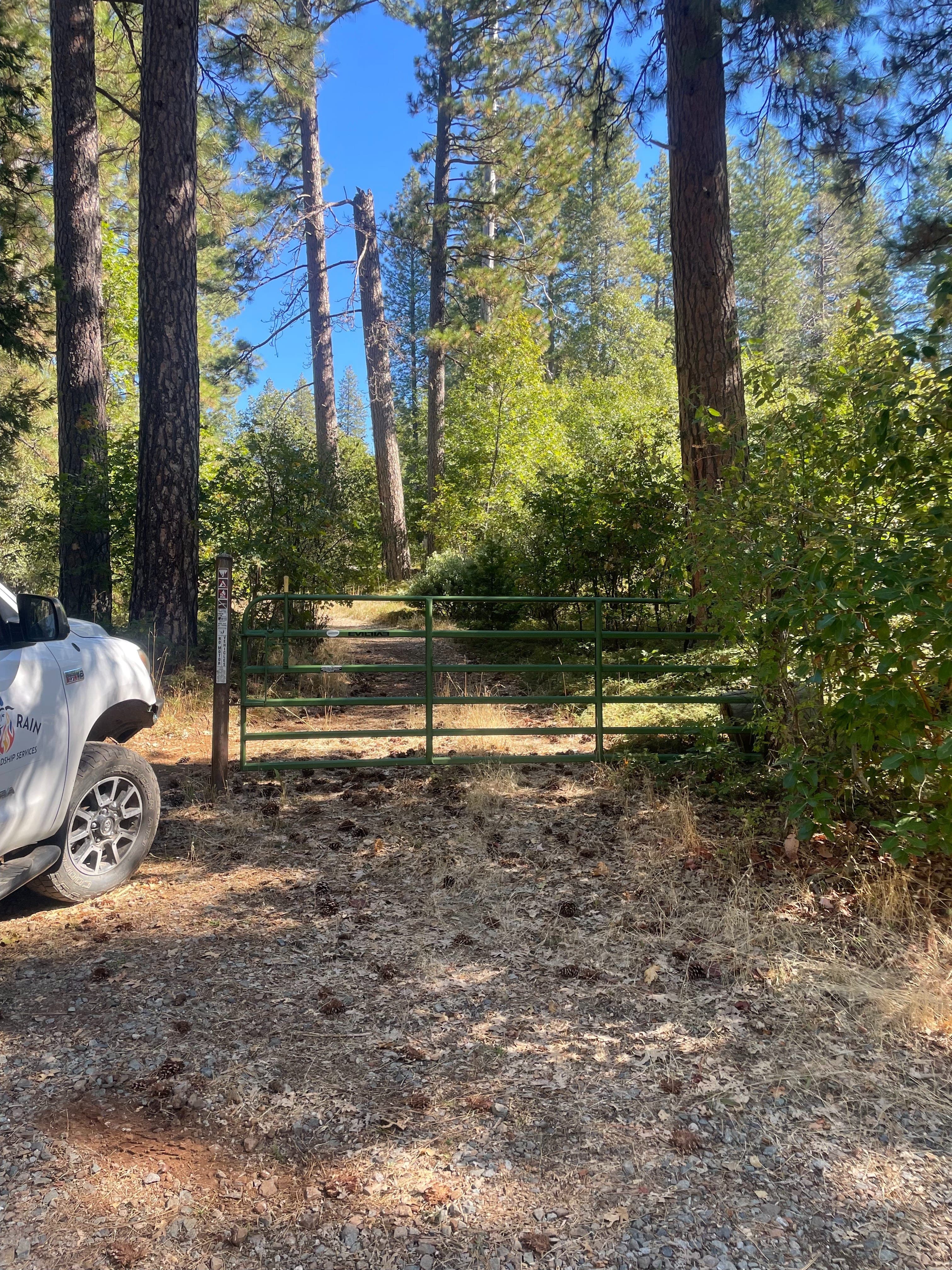 Overgrown fuel break at Moonlight Way