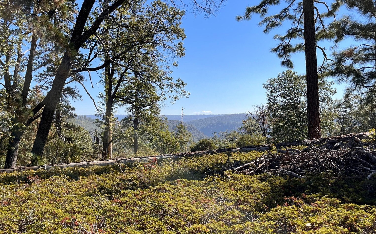 Yuba River in the Yuba watershed
