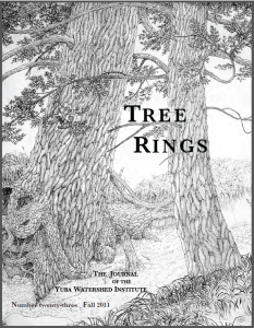 Tree Rings 23 Cover